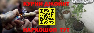 бошки Гатчина
