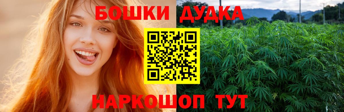 Марихуана сатива  Канабис VHQ  Вход с VPN  Канабис Bruce Banner  Миллерово  Каннабис планчик 
